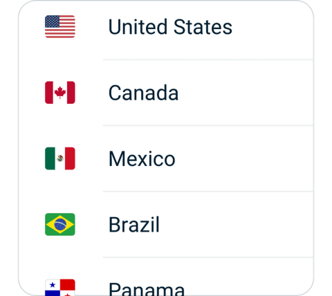 LaowangVPN connect step 2, choose VPN server location